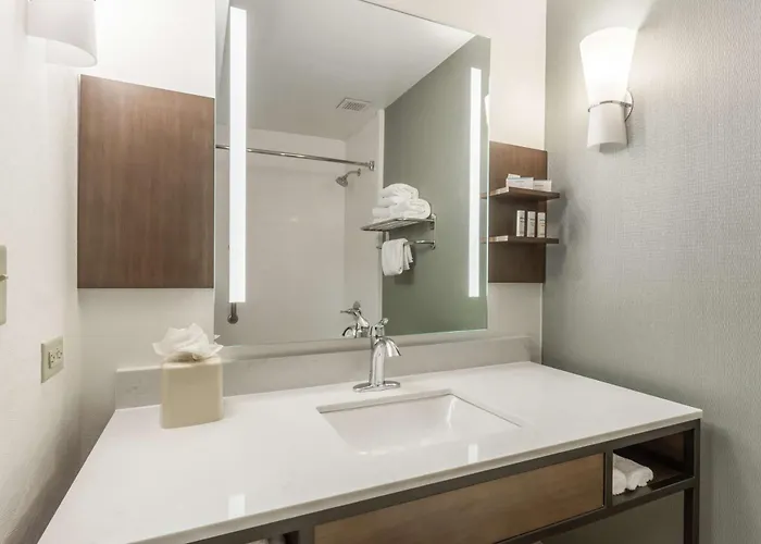 Hilton Garden Chicago/tinley Park Tinley Park