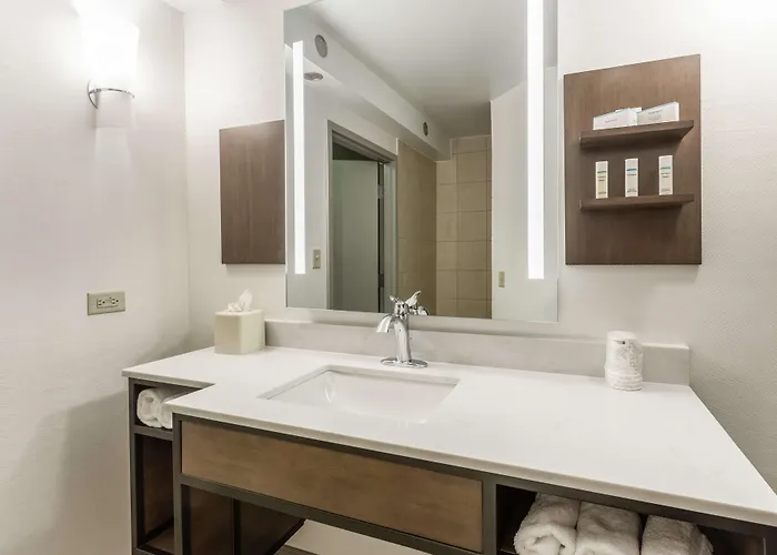 Hilton Garden Chicago/tinley Park 3* Tinley Park