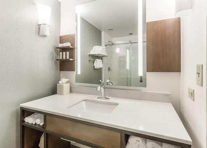Hotel Hilton Garden Chicago/tinley Park Tinley Park