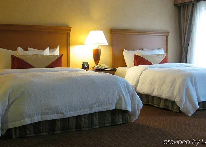 Hilton Garden Chicago/tinley Park Hotel Tinley Park