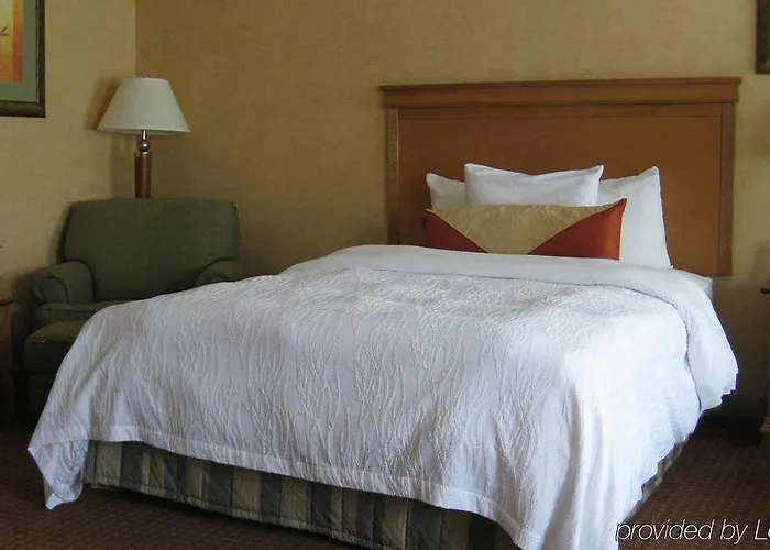 Hotel Hilton Garden Chicago/tinley Park