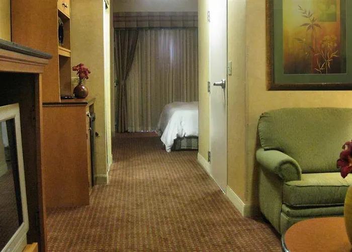 Hilton Garden Chicago/tinley Park Hotel Tinley Park