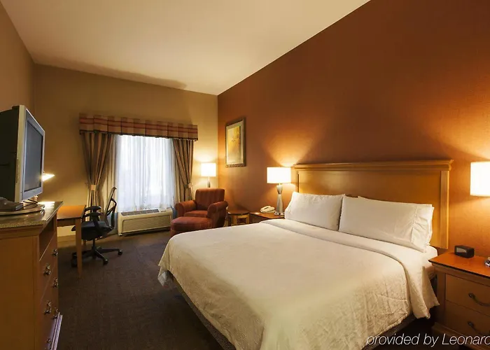 Hotel Hilton Garden Chicago/tinley Park