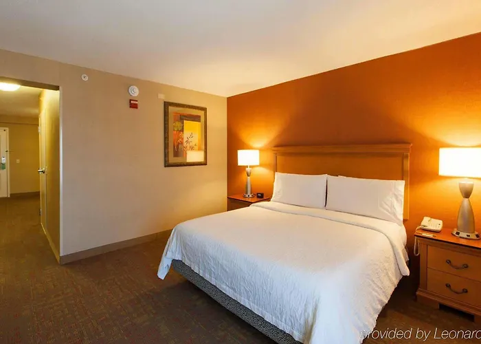 Hilton Garden Chicago/tinley Park Hotel 3*