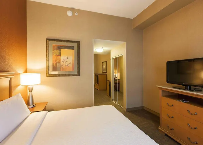 Hotel Hilton Garden Chicago/tinley Park