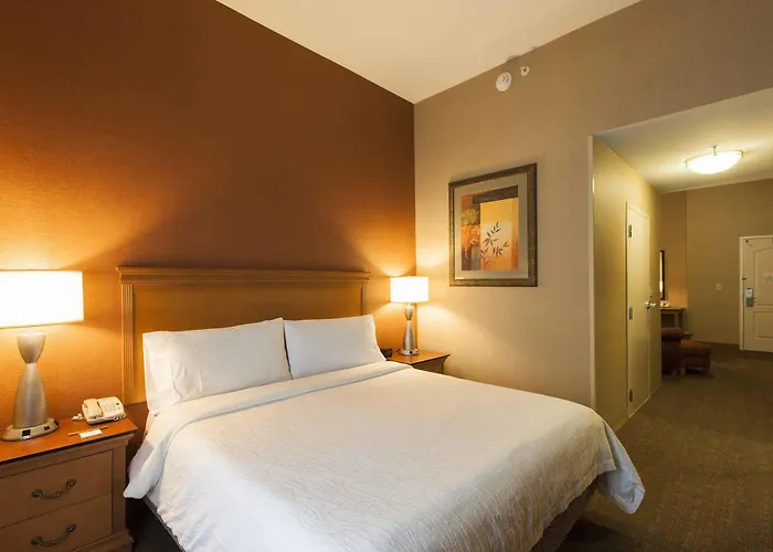 Hilton Garden Chicago/tinley Park 3*