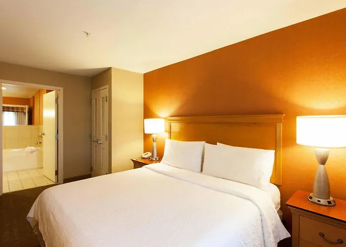 Hilton Garden Chicago/tinley Park